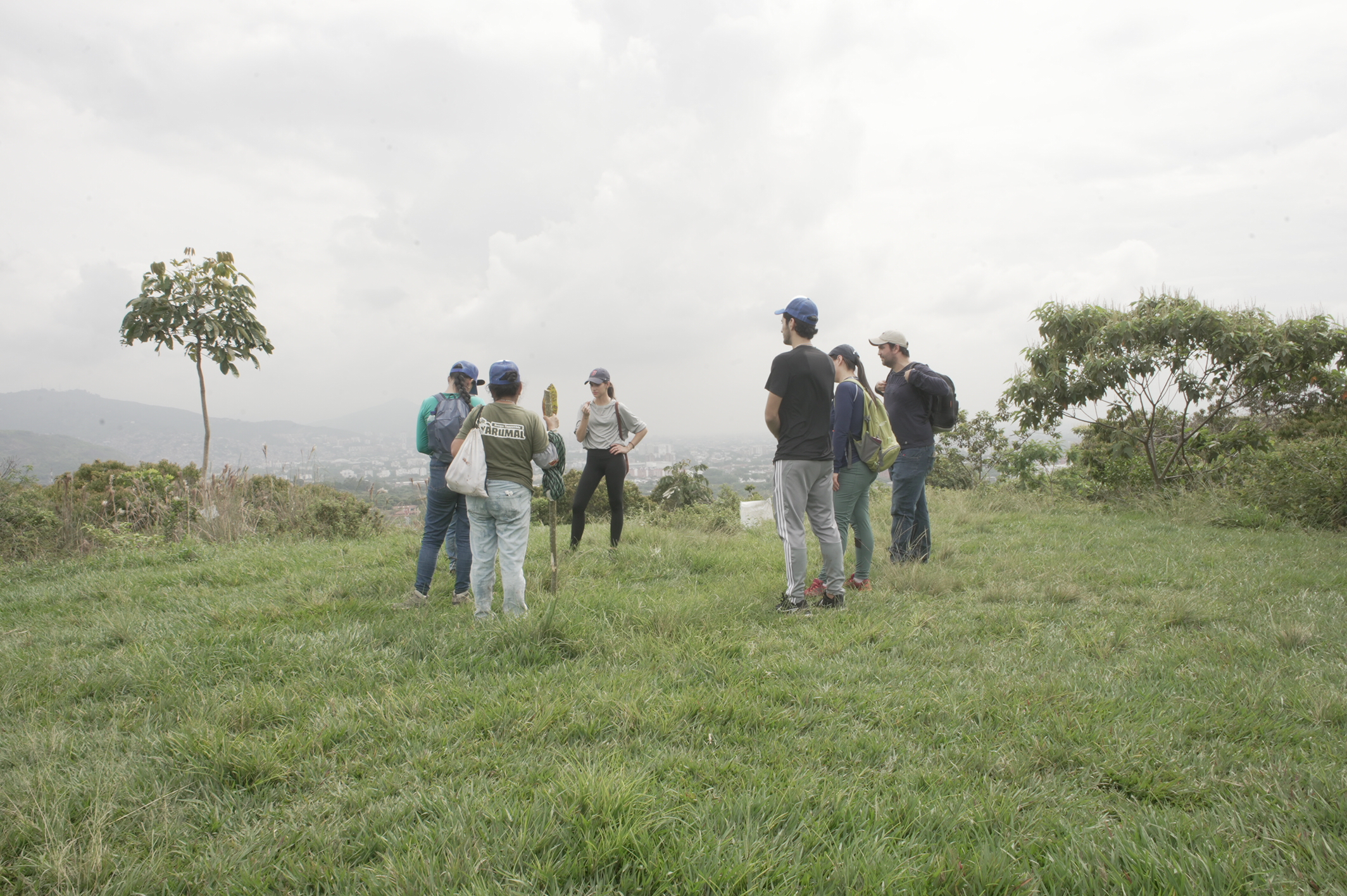 Huerta Madre Bosque Comestible Yarumal