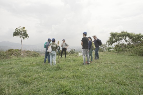 Huerta Madre Bosque Comestible Yarumal